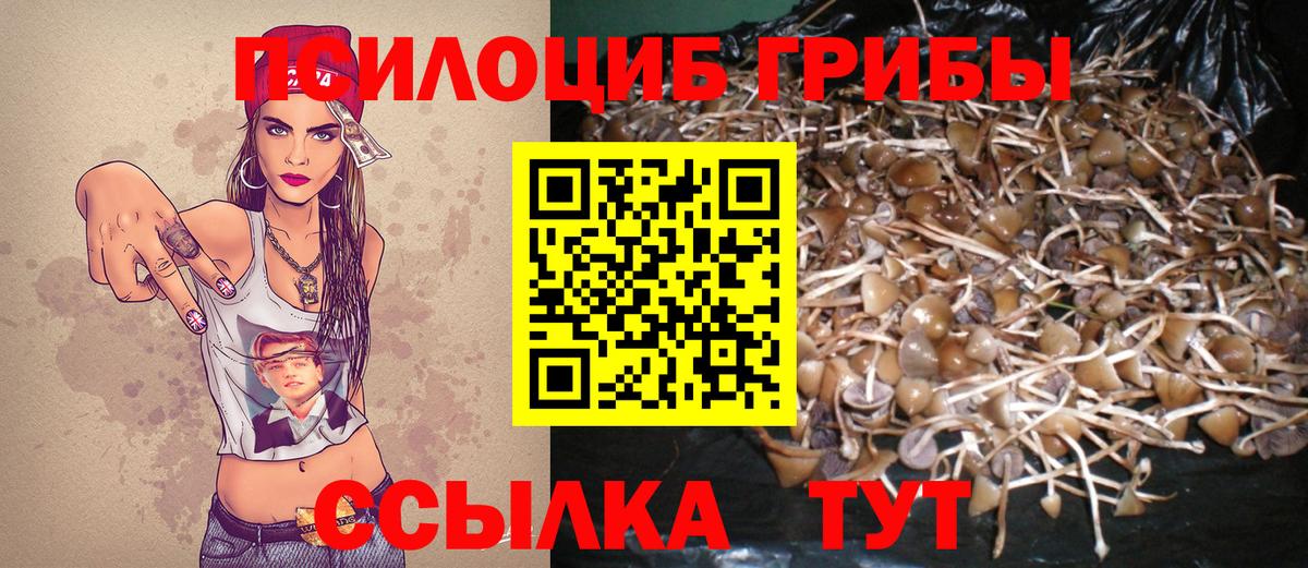 Галлюциногенные грибы мухоморы  Вход с VPN  Шелехов 